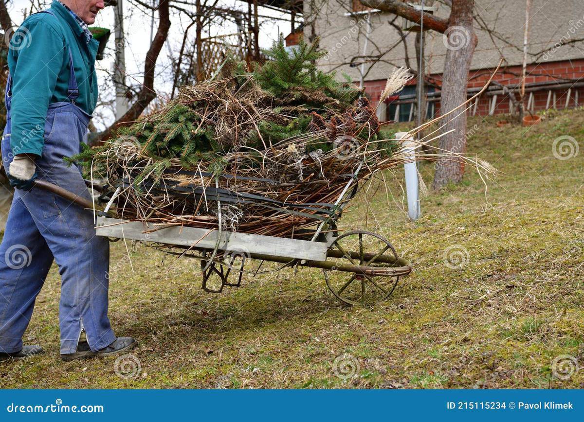 Үйдөгү огородтогу чөптөрдү оруп жыйнаганга жумушчу керек