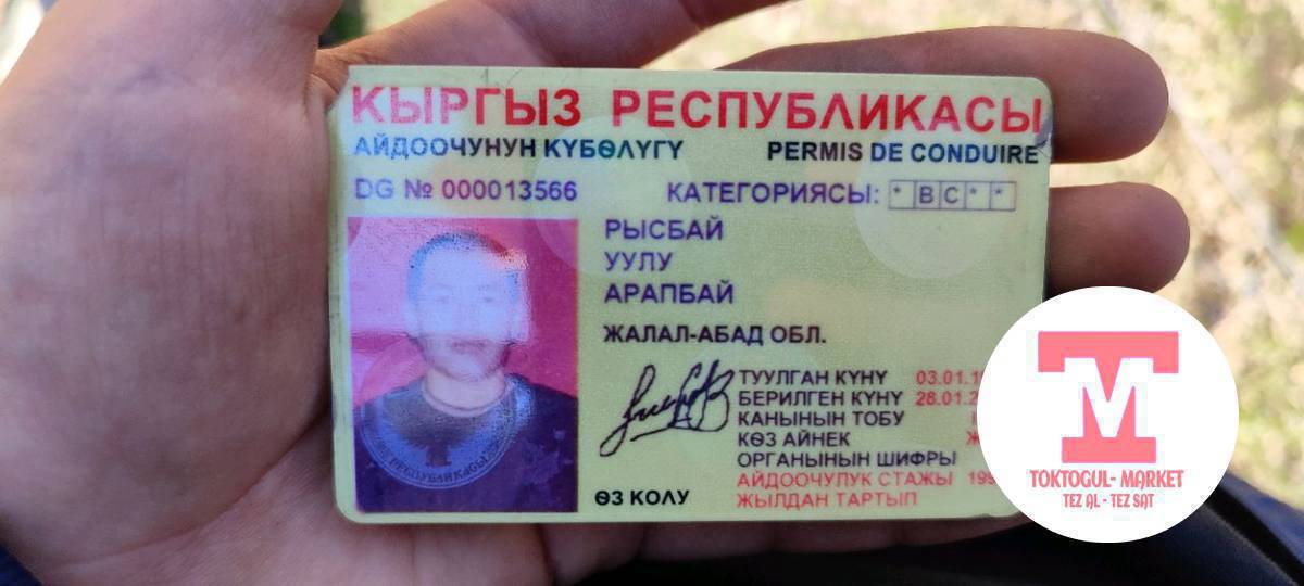 водительский права табылды чычкандан