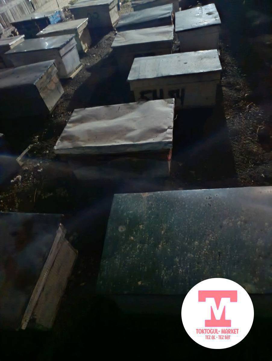 срочна яшиктер суштар сатылат яшик 2800 сомдон суштар 150 сомдон