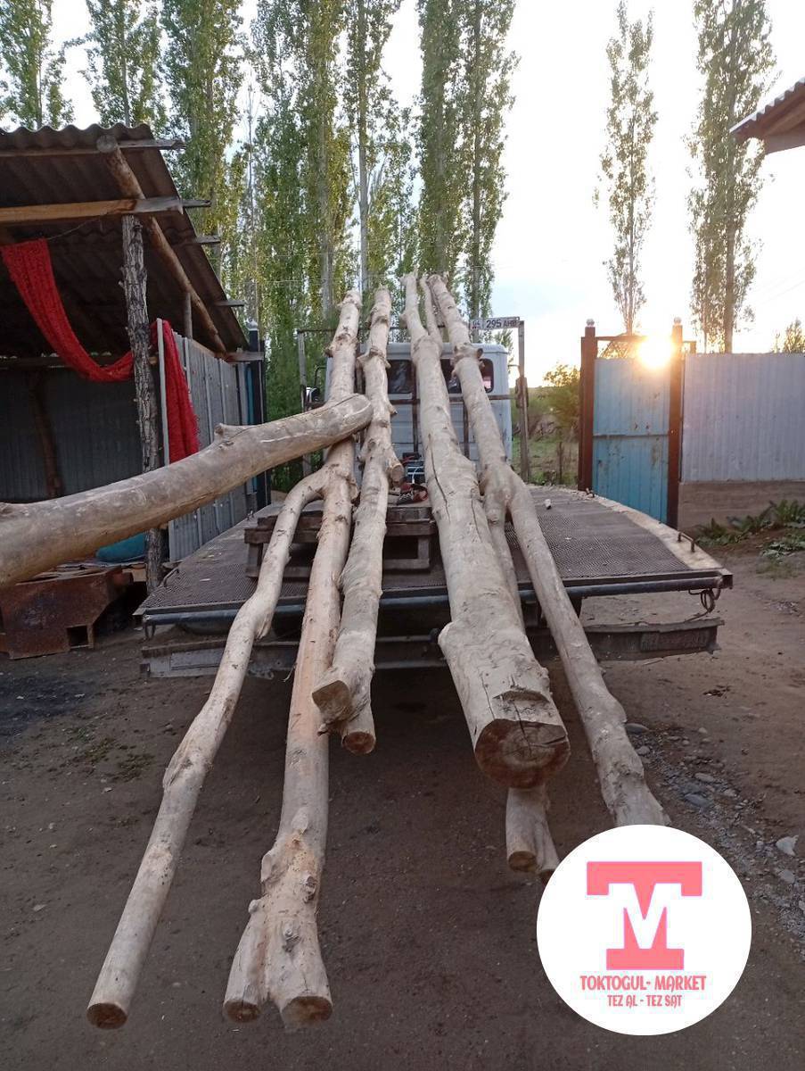 Кургак терек сатылат узуну9.50м шт 1500