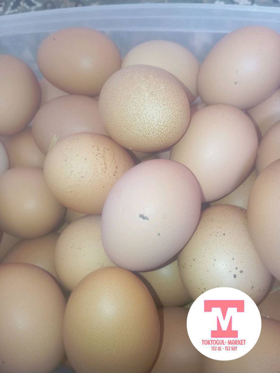 Домашный жумуртка