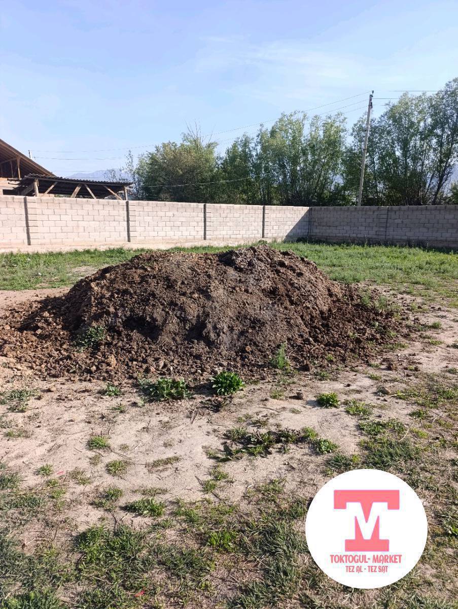 Бекер кык алып кетиңиздер
