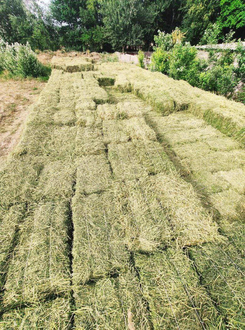 Таза беде пресс сатылат 25кип 3-чабык Комсомолдо