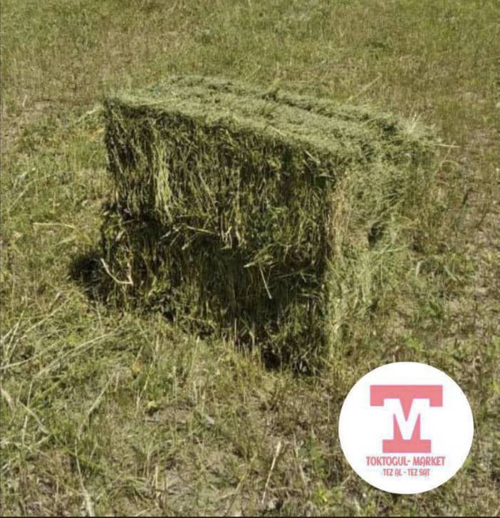 таза кок беде пресс сатылат местный салмактуу 430с