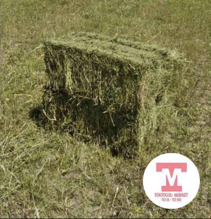 Срочно таза беде кип сатылат 300 сом 20шт