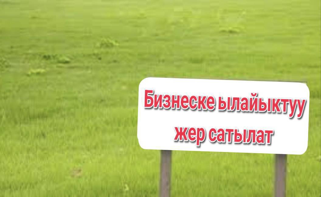 Мол Булактын жанынан жер тилкеси сатылат Кызыл китеп бар баасы келишим түрдө.