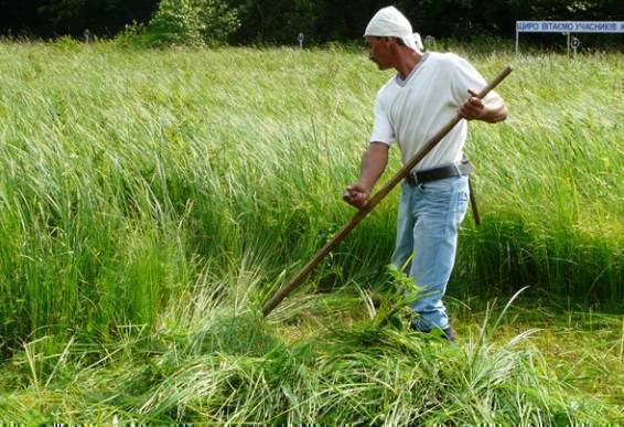 короонун ичин оруш керек Бир аз эле Жер Анна сыртта жолдун жээги 5 метир туурасы 1метир жерди оруш керек 1000сомго иштей тургандар байланышкыла 2 сааттьк жумуш