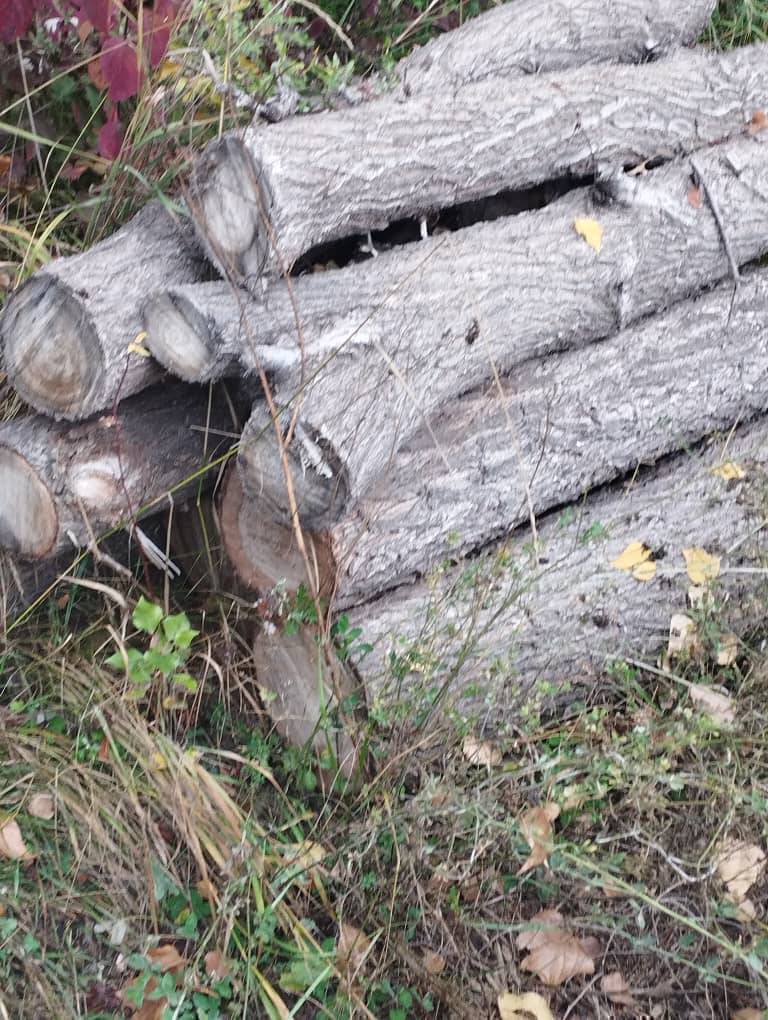 бекер отун алгыла