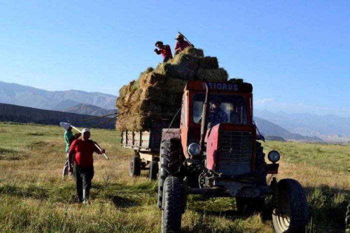 Эки бала керек 80 боо прес бедени жуктоп алып Келип сарайга жыйганы