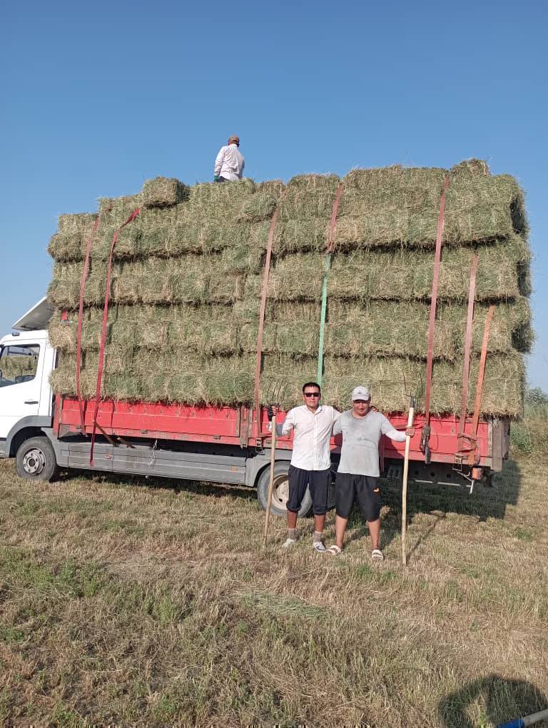 Беде кип жуктойбуз 15сомдон 15тушуробуз