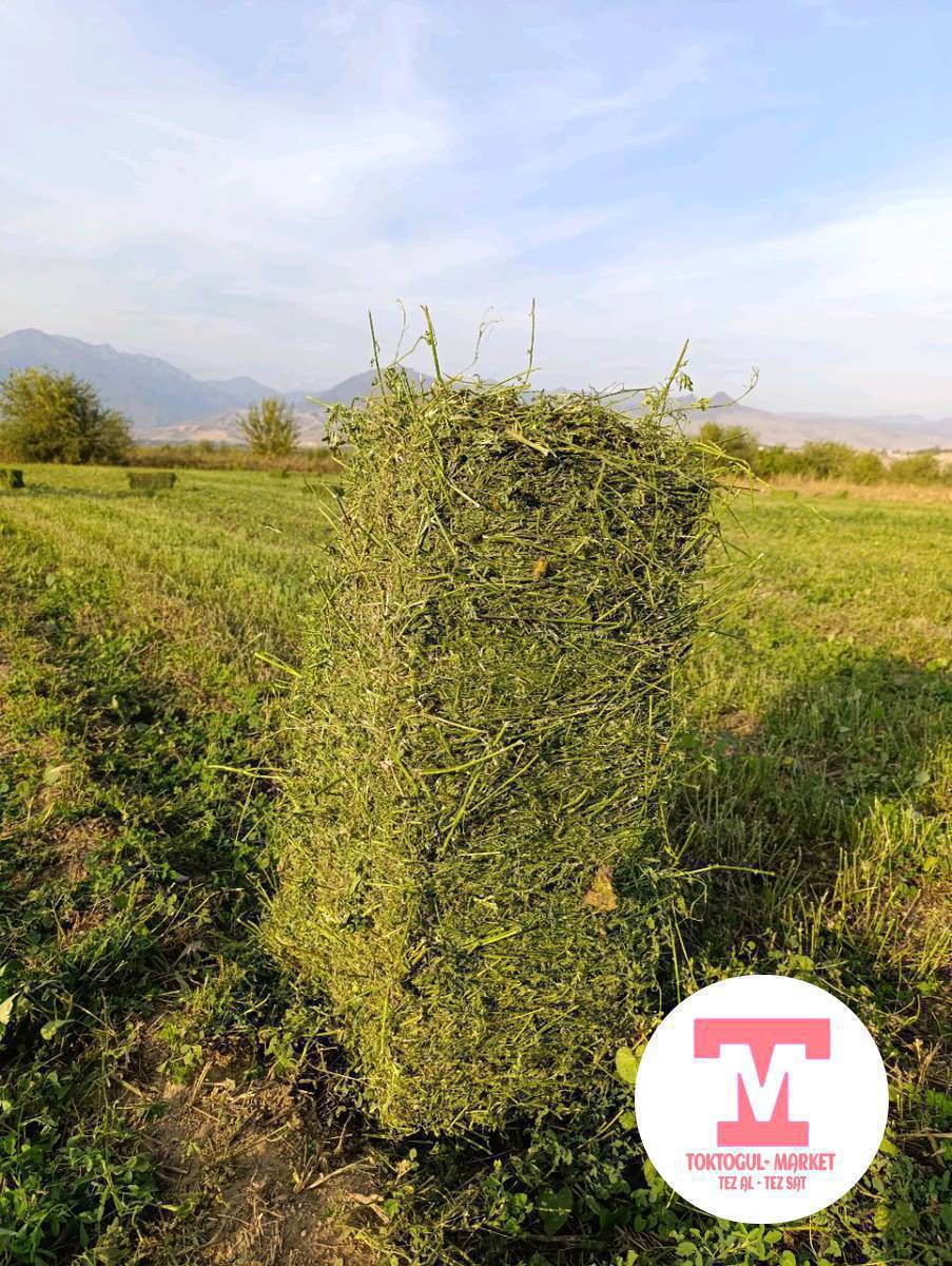 Таза эксперцет 280 кип  сатылат жеткиру Бекер басы 430сом ушул номерге чалгыла