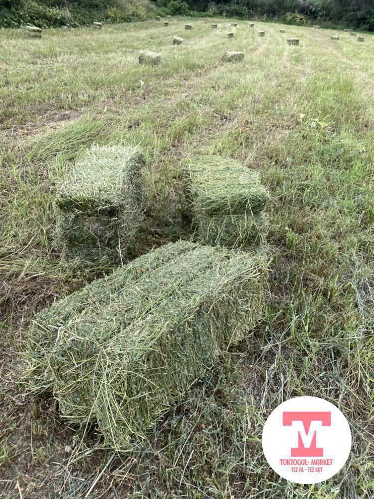 Таптаза, көкмөк беде пресс сатылат. Эспарсет да бар.