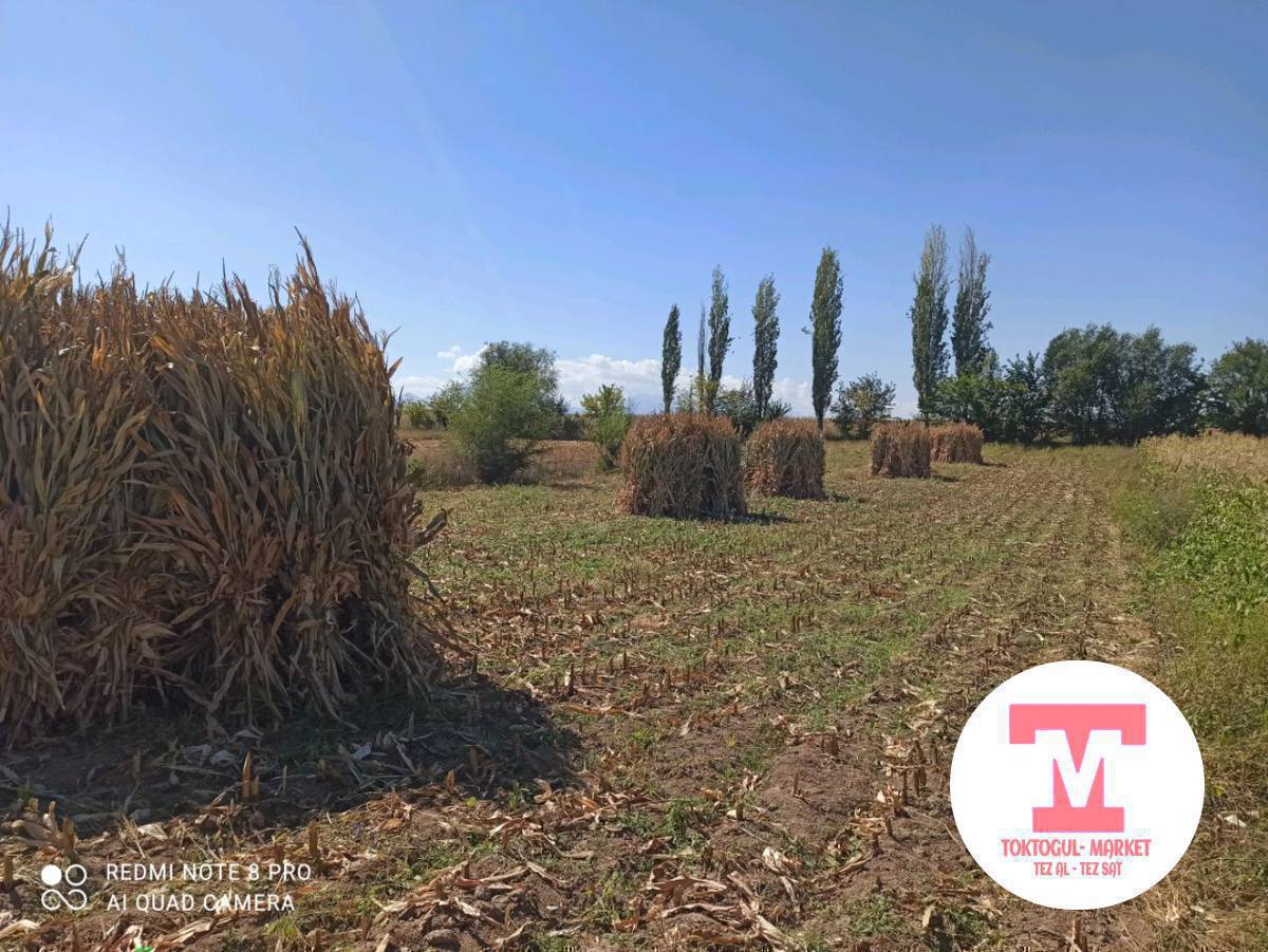 Пая сатылат Баасы 100.дон 100.бо бар