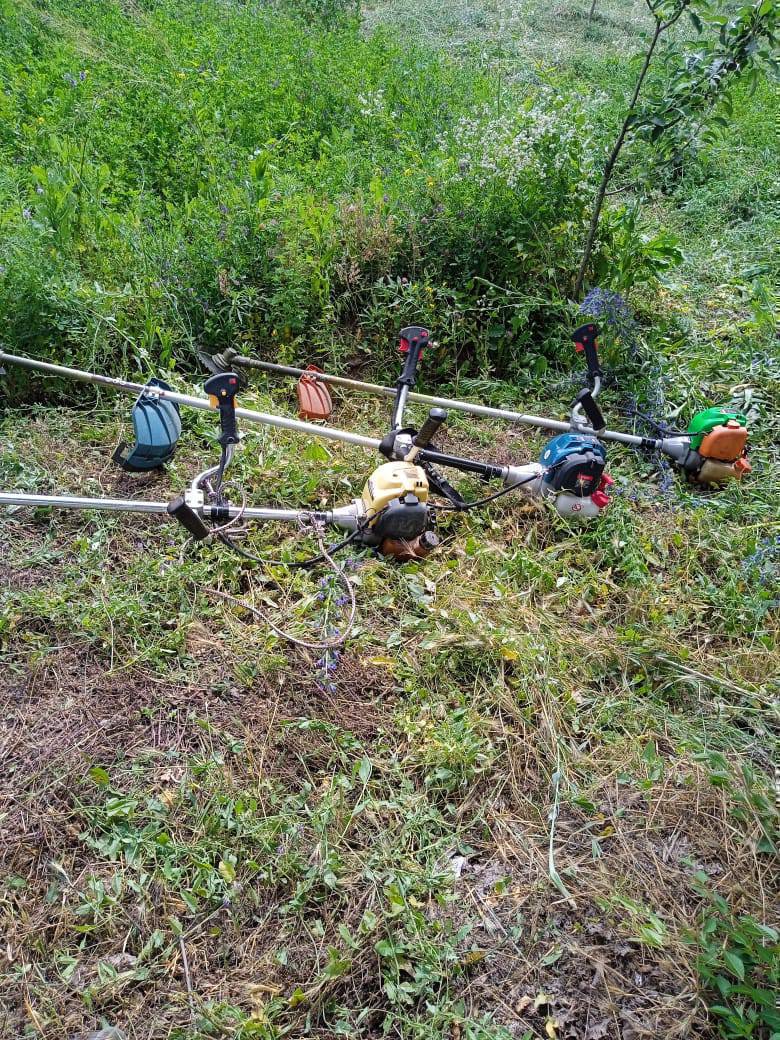 Чоп чабабыз