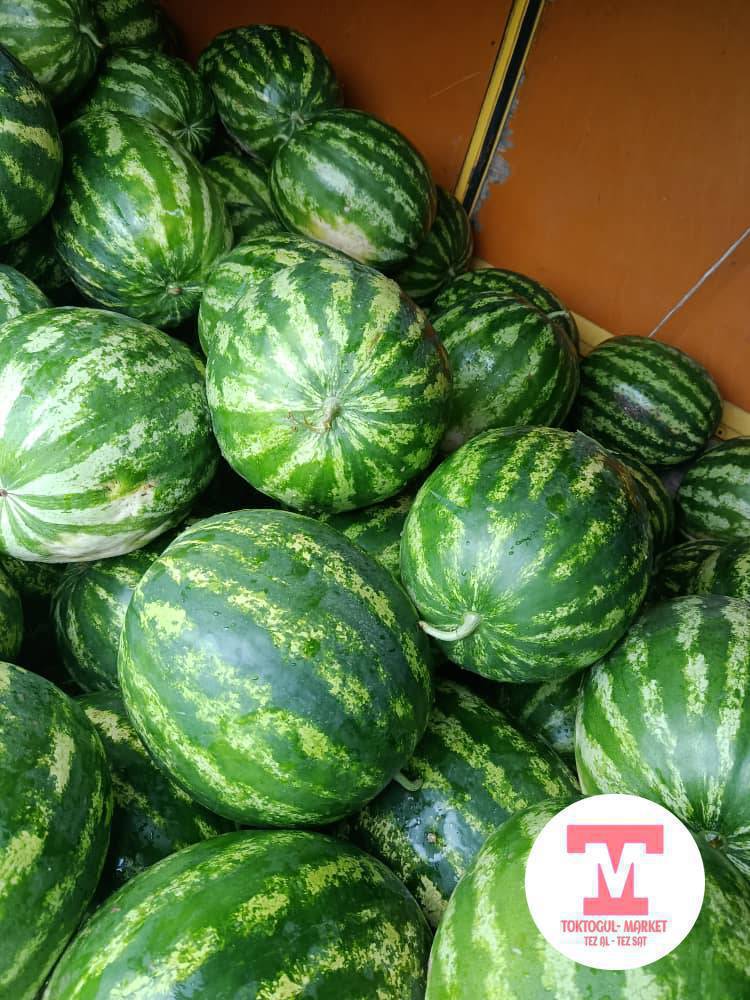 Дарбыз Көтөрмө айылында жаны поля ачылды келишим баада сүйлөшөбүз сорт жакшы 40 50 тонна чыгат сразу