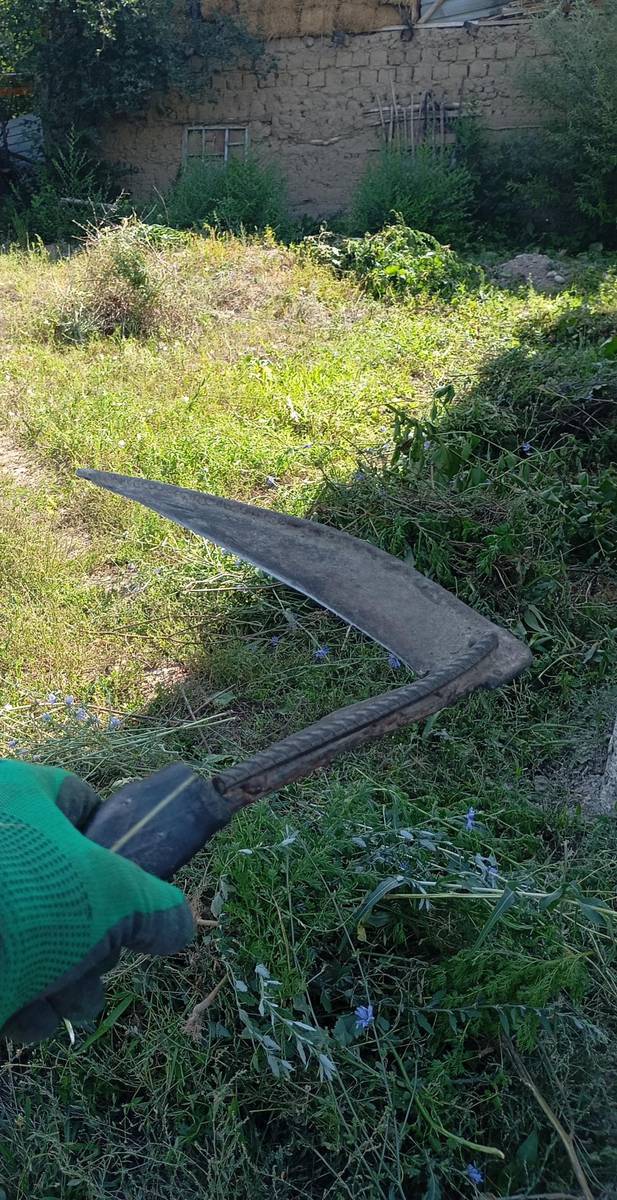 Үй кородогу чөптөрдү оробуз жумуш керек 1БАЛАГА