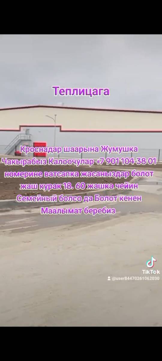 Кроснадарга Жумушка Чакырабыз Теплицага жакш курак чектелбейт жол акыны озубуз төлөйбүз документтерди Фирма жасап берет Кененирээк маалыматы +7 901 104 38 01 ватсап номерге жасаныздар болот