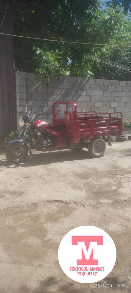 Муравей кызмата шар ичинде