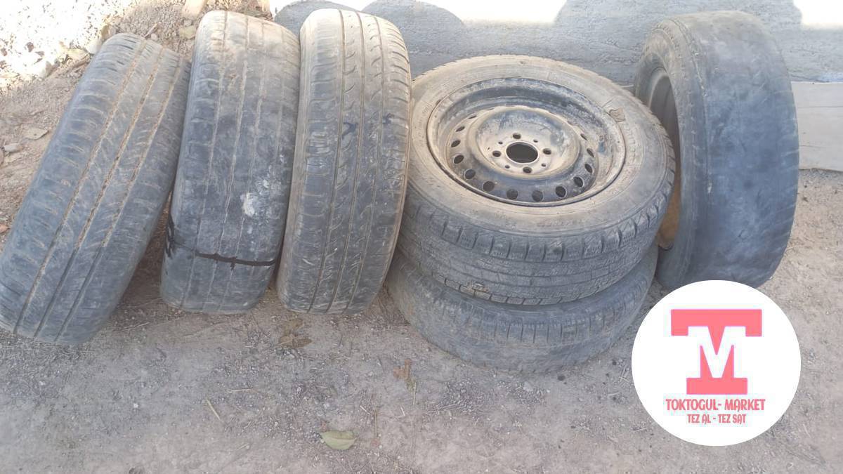 13тук балондор сатылат качоный