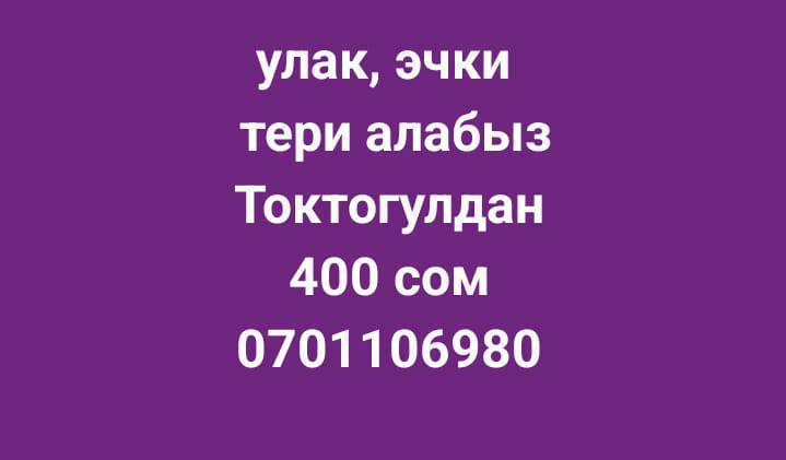 Эчки улак тери алабыз