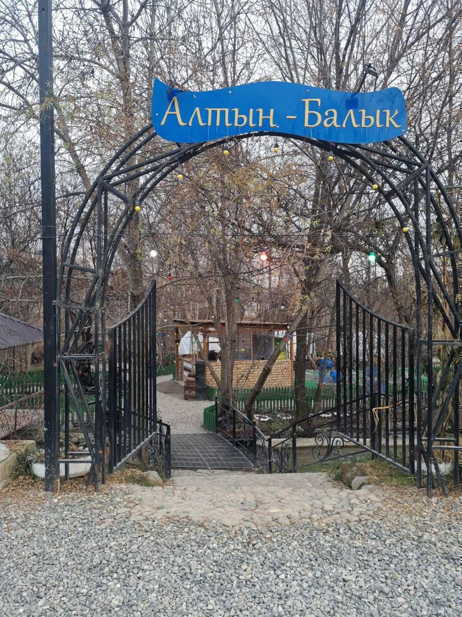 Алтын Балык кафеси —
жакшылыгыңыздарда кызматта!

Жылуу, ыңгайлуу коттедждер,
кең чоң зал жана уюттуу кичинекей зал —
үй-бүлөлүк майрамдарга, достор менен жолугушууга,шерине,туулган күн, куда тосууга эң ылайыктуу жер.

Мангалда бышкан даамдуу балык,куурулган балык жана башка даамдуу тамактар.
Табигый даам, таза аба, жагымдуу эс алуу!

Кааласаңыз — караоке,
ырдап, көңүл ачып, эстен кеткис учурларды жаратасыз! Жаңы келген ди-джей сиздердин жакшы маанайыңыздар үчүн кызматта.

Эстен кеткис  күндөрүңүздөрдү сүрөткө тартып калтырган, сүрөтчүлөр кызматта.

Алтын Балык кафеси — даам, эс алуу жана кубаныч бир жерде!

Биздин менюга 1000 сомдон тоок куурдак кошулду.

Бизде тамактар буйрутма менен! 

Маалымат үчүн тел:0505090193