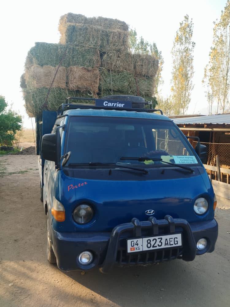 Портер такси Куну туну