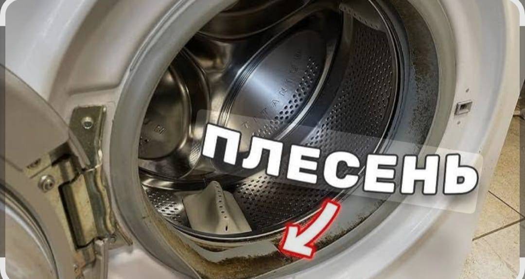 Аристонунуздар кеч ысып, ичине кир толуп калса, ордунан жылдырбай тазалап ичин жууп беребиз. Стиральная машинанын ичи жыттанып, сасык жыт уруп кирлерин кетире албай жатсаныздар, кондиционер чанга толуп тазалаш керек болсо чалыныздар. Бизге жаны аппараттар келди баардык турун жууп тазалап беребиз. 0504858550