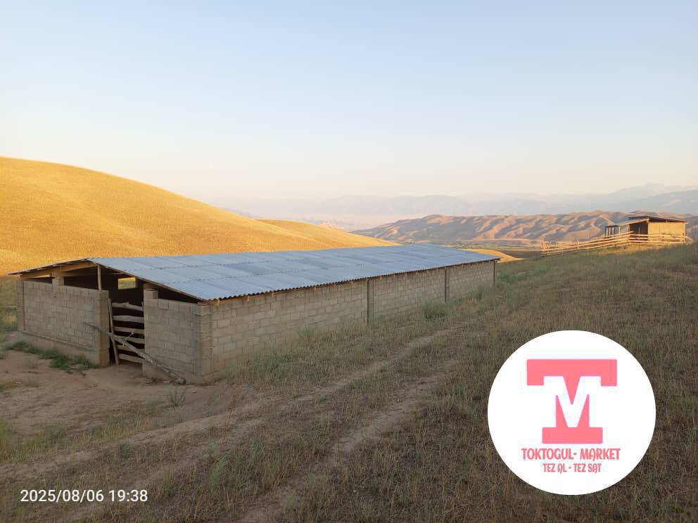 Көтөрмө айылынын Там Сарайы менен сатылат малга аябай жакшы свет бар жердин Кызыл китеби бар