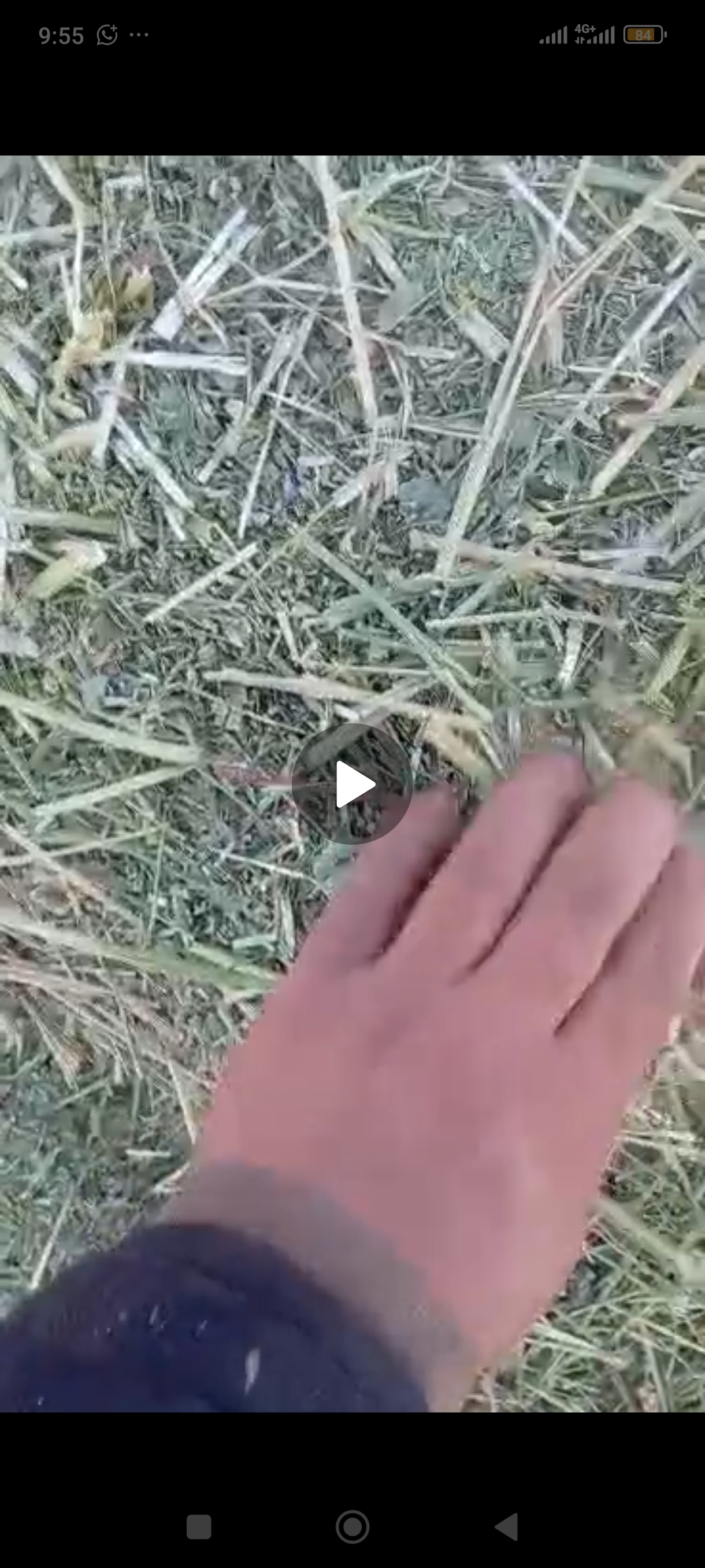 Саламалекум жамат таза эксперцет 312кип сатылат жеткиру Бекер басы 440сом ушу номерге чалгыла