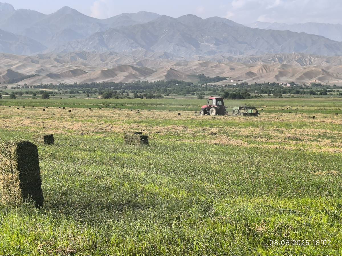 Барчындан  Арендага жер берилет.
6-гектар бедеси менен суунун башында 
Быйыл 2-жыл болот!