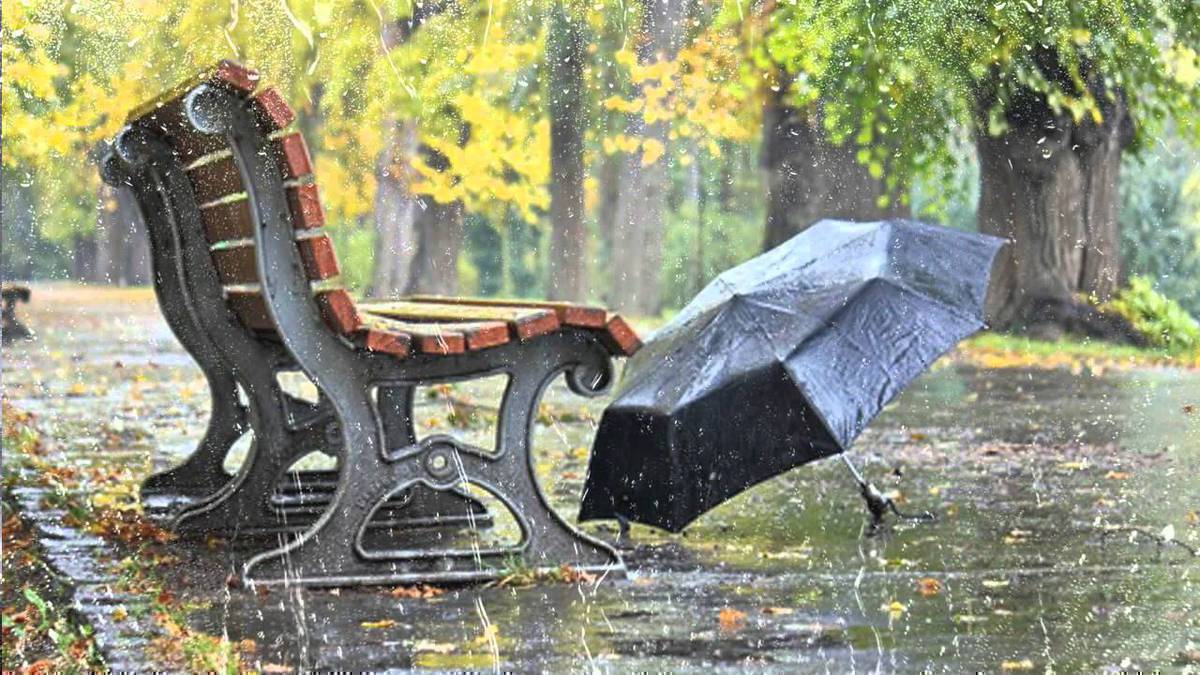 саламатсызбы.ак жондон келе жатканда биринчи остановкада кол чатыр.зонтик калып кеткен экен.ошол остановканын жанындагы магазинге берип койдум.алып алсанар.мадярова менен тынчтык кочосунун кесилишиндеги остановкада