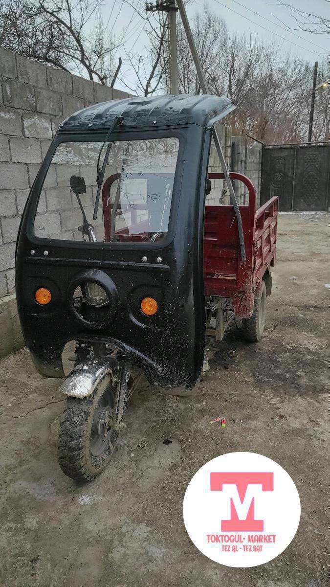 Муравей такси шар Ичи 250