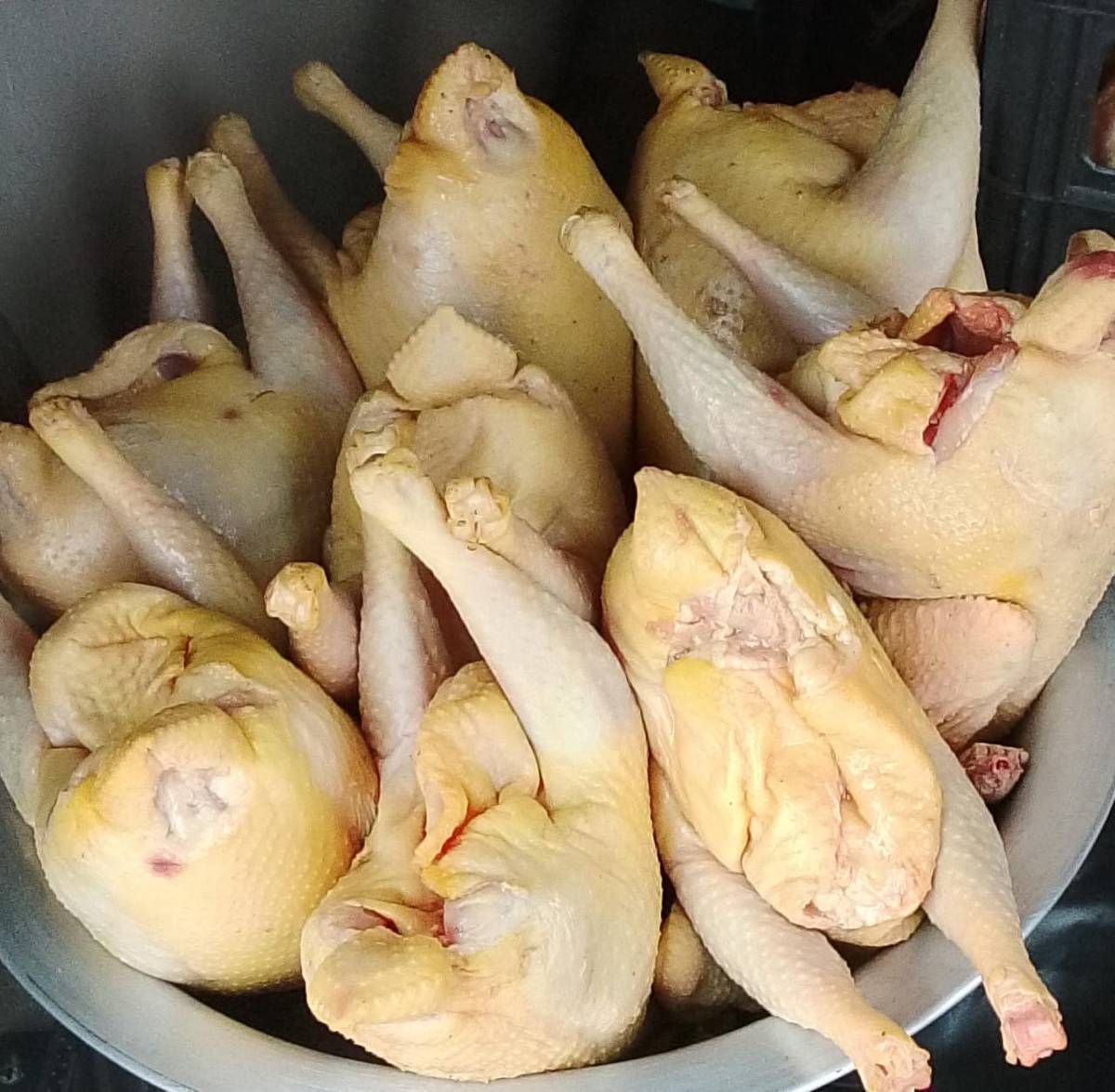 Уй халал,куйкаланган даяр тоок.1штугу 600 сомдон +куурдака мариновкалангандары бар 3-штуктан доставка болот Токтогул ичине свежый сойулган 0502872846