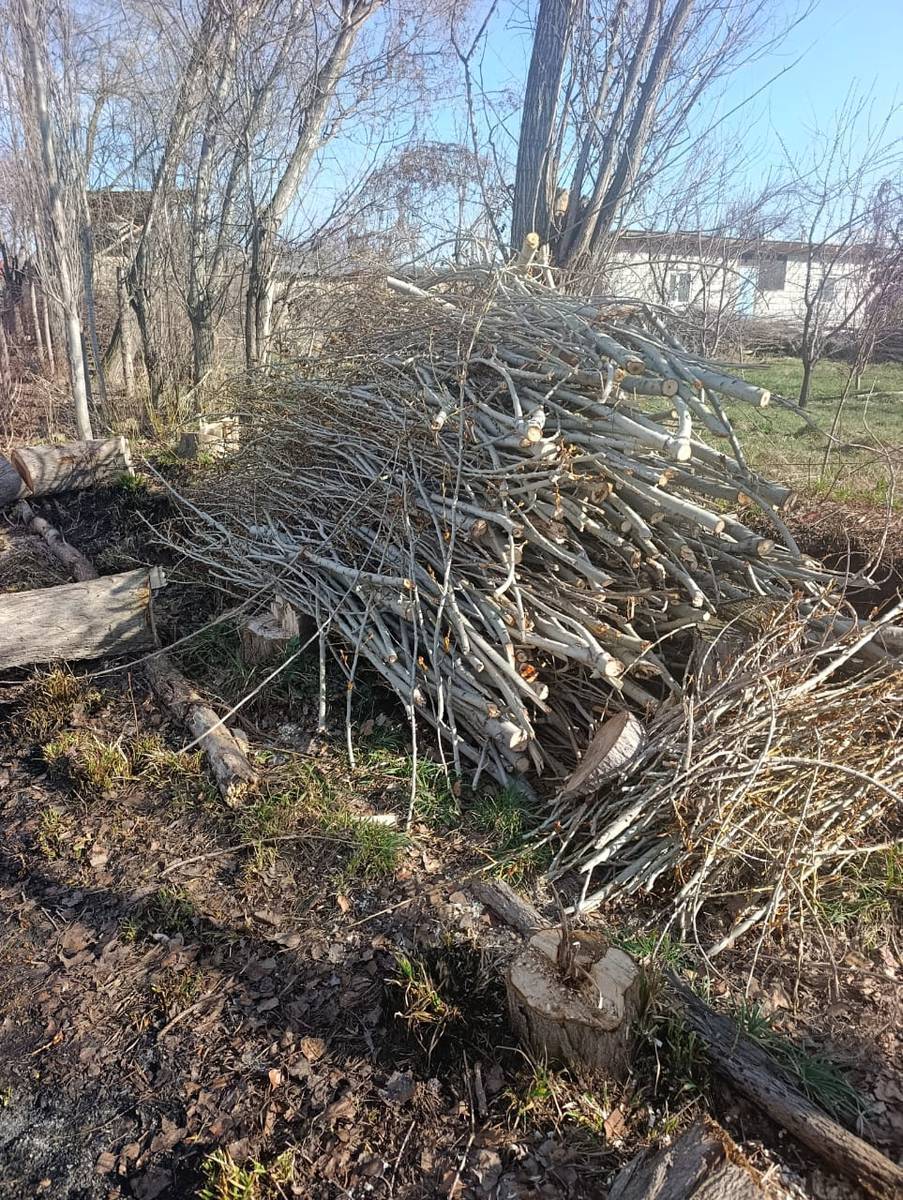 Отун Сатылат
Жоон Отун Бир Портер -5000 сом
Чырпык-500сом
Майдасын Бекер эле алып кетсенер болот
0504250572
0774720525 вацап
Адрес Кызыл Туу