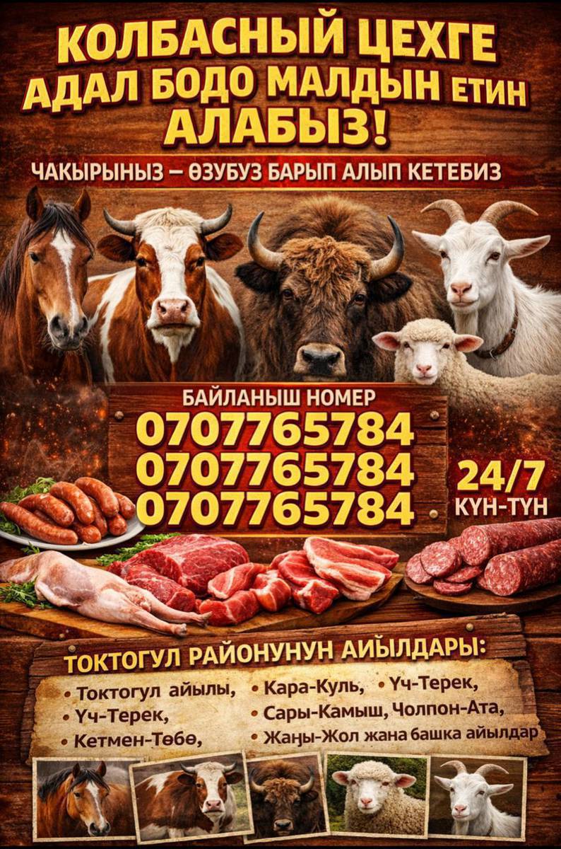 Адал бодо малдын этин алабыз!