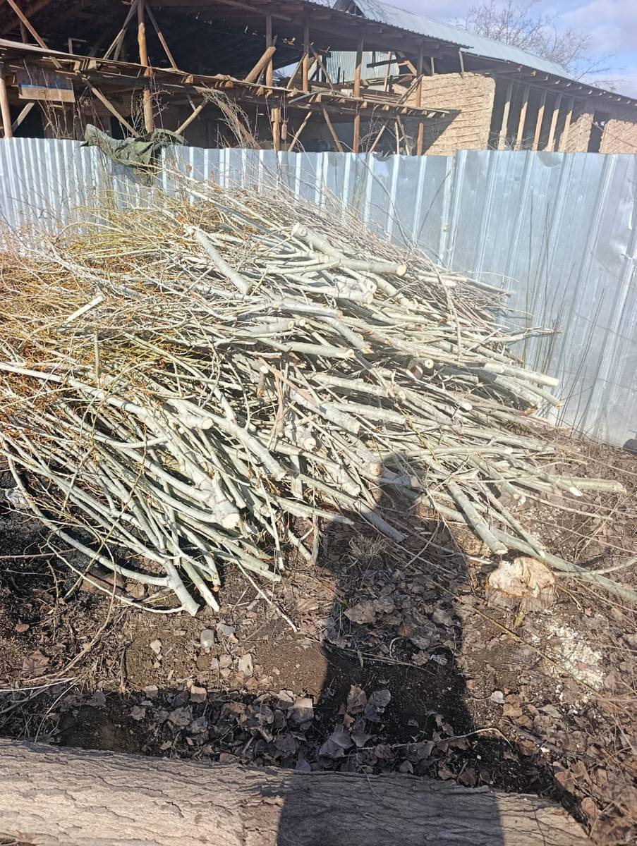 Отун Сатылат
Жоон Отун Бир Портер -5000 сом
Чырпык-500сом
Майдасын Бекер эле алып кетсенер болот
Дарек: Кызыл-Туу