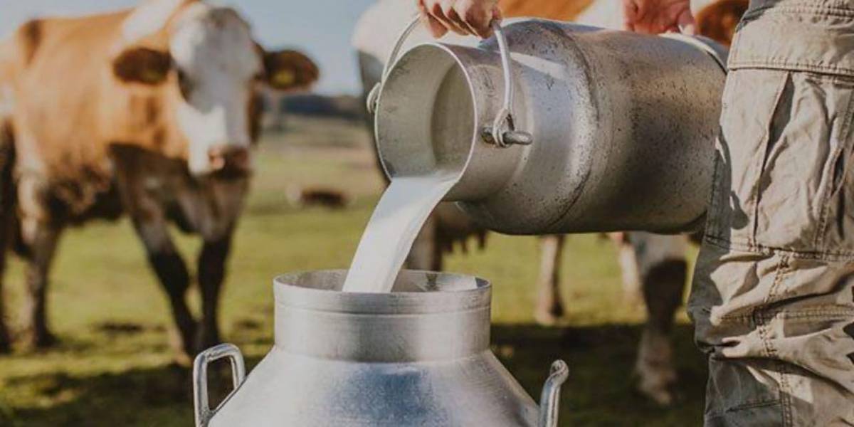 Сут алабыз 35 с