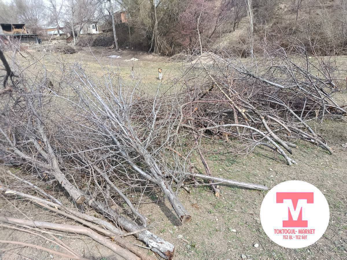 Чырпыктар  бар Бекер