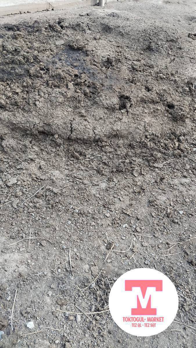 Бекер УЙдун кыгын алып кетиниздер!
Адрес: Тоголок Молдо #10  .