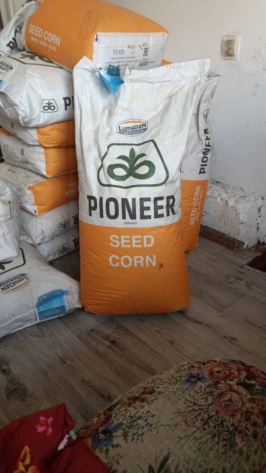 Оригинал Пионер Жүгөрү урук Сатылат!!!
1кабы - 30кг.  Өзүбүздөн артып калды 13кап
650сомдон алып калыңыздар!