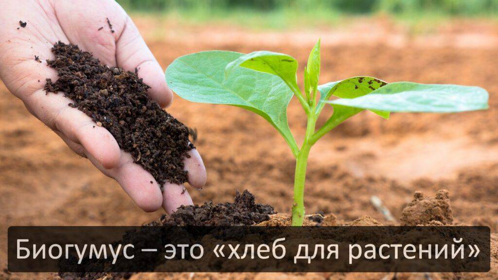 БИОГУМУС АЛАМ