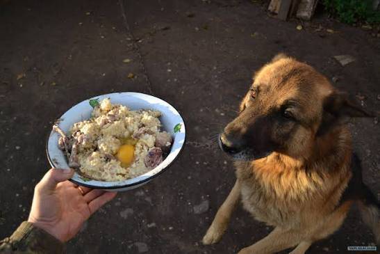 памой алам Итерге