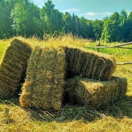 Беде сатылат келишим баада