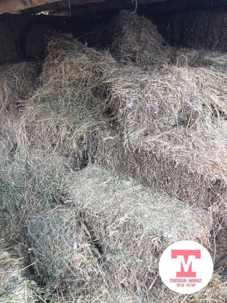 Кип сатылат 10 кип