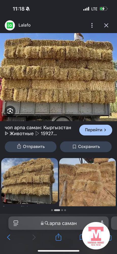 Арпа саман алам