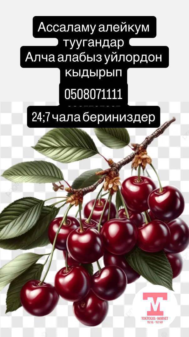 Алча алабыз чон чаксын 600 сом кеичинекей чаксы 300сом