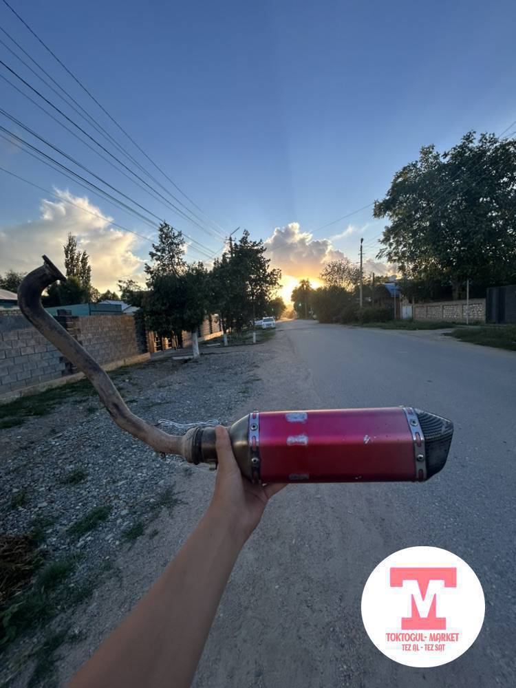 Тешик жок