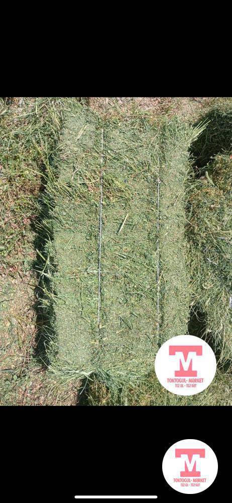 Таза беде пресс алам 100 кипке чейин 0708967367