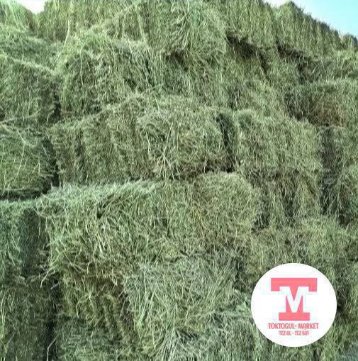 Беде сатылат 450сомдон,1ден сатам
ТОЛЬКО ЧЕРЕЗ ВАТСАП