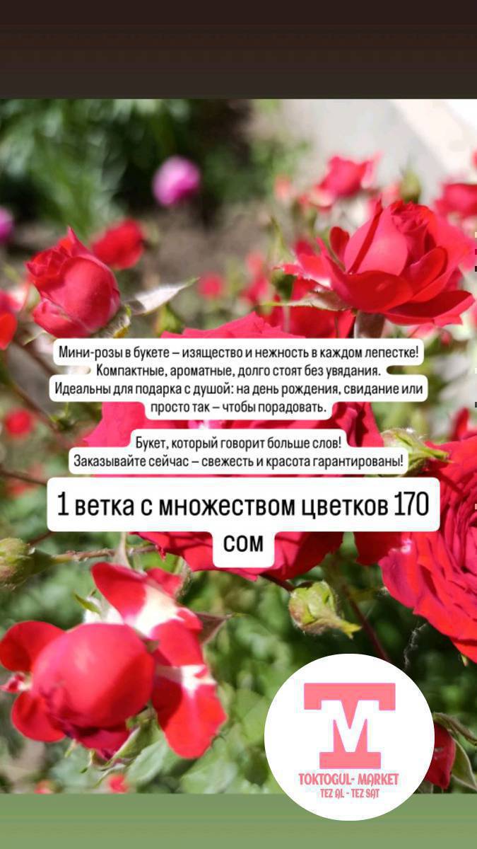 Мини-розы в букете — изящество и нежность в каждом лепестке!
Компактные, ароматные, долго стоят без увядания.
Идеальны для подарка с душой: на день рождения, свидание или просто так — чтобы порадовать.

Букет, который говорит больше слов!
Заказывайте сейчас — свежесть и красота гарантированы!